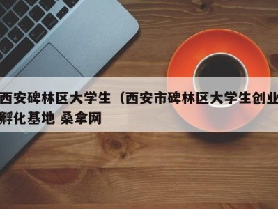 武汉西安碑林区大学生（西安市碑林区大学生创业孵化基地 桑拿网