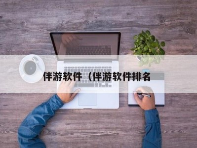 武汉伴游软件（伴游软件排名 