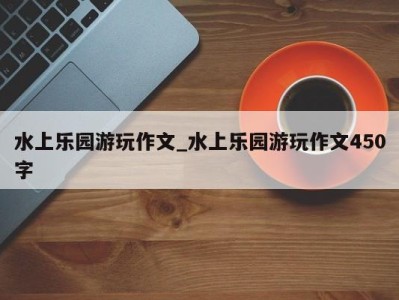 武汉水上乐园游玩作文_水上乐园游玩作文450字 